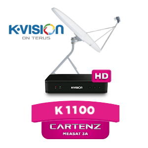 K1100