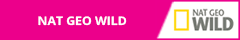 Nat-Geo-Wild-Logo_Color